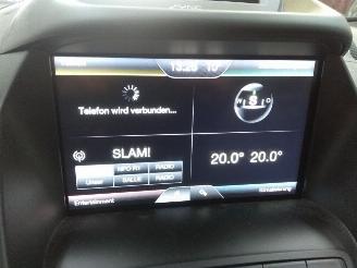 Ford Focus C-Max  picture 30