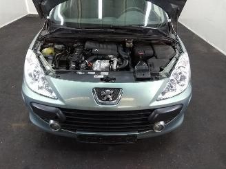 Peugeot 307  picture 13