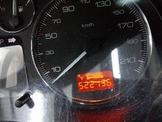 Peugeot 307  picture 22