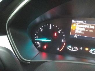 Ford Focus  picture 3
