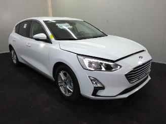 Ford Focus  picture 1