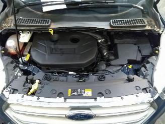 Ford Kuga  picture 13