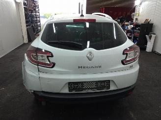 Renault Mégane  picture 13