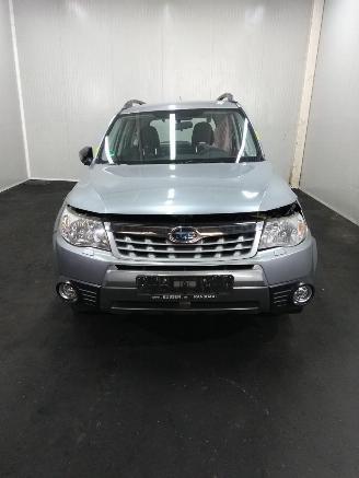 Subaru Forester  picture 3