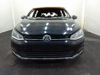 Volkswagen Golf  picture 9
