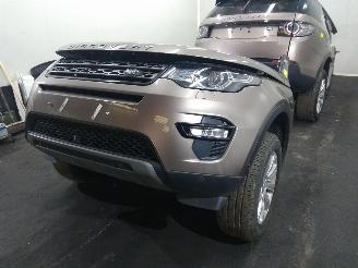Land Rover Discovery Sport  picture 15
