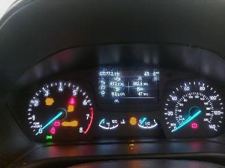 Ford Fiesta  picture 5