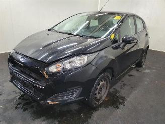 Ford Fiesta Style picture 20