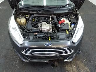 Ford Fiesta  picture 13