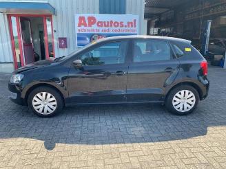 Volkswagen Polo Polo V (6R), Hatchback, 2009 / 2017 1.2 12V BlueMotion Technology picture 2