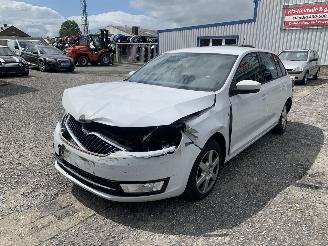 Skoda Rapid Rapid Spaceback picture 1