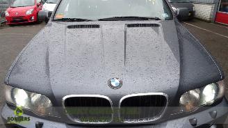 BMW X5 MPV Clima DSL 3000 24 KW 135 AUT 4X picture 8