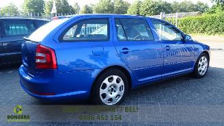 Skoda Octavia RS model picture 5