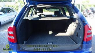 Skoda Octavia RS model picture 10