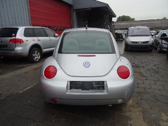 Volkswagen Beetle  picture 6