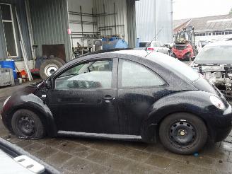 Volkswagen Beetle  picture 5