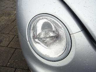 Volkswagen Beetle  picture 12