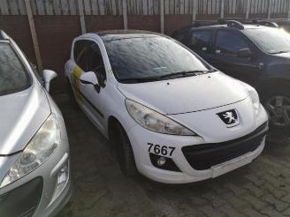 Peugeot 207 207 SW (WE/WU), Combi, 2007 / 2013 1.6 HDi 16V picture 2