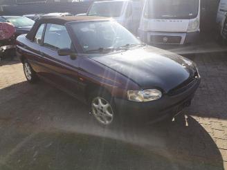 Ford Escort  picture 12
