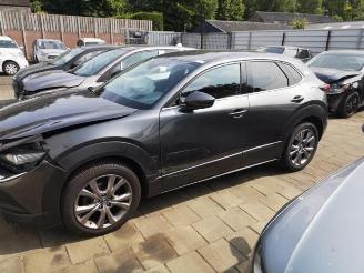 Mazda CX-30 CX-30 (DM), SUV, 2019 1.8 Skyactiv D 116 16V picture 2