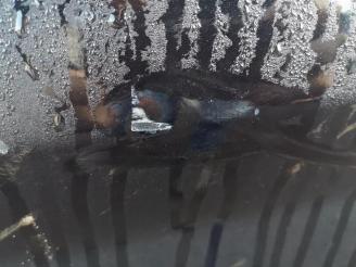 Ford Fiesta Fiesta 6 (JA8), Hatchback, 2008 / 2018 1.0 EcoBoost 12V 125 picture 11