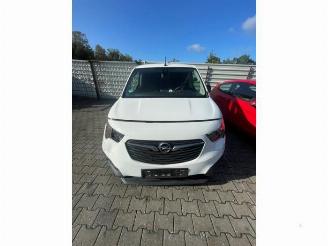 Opel Combo Combo Cargo, Van, 2018 1.5 CDTI 75 picture 3
