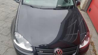 Volkswagen Golf GT picture 4