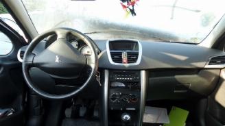 Peugeot 207  picture 11