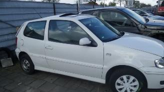 Volkswagen Polo 99-01 picture 5
