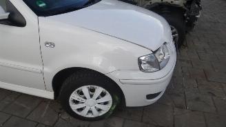 Volkswagen Polo 99-01 picture 4
