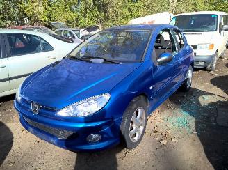 Peugeot 206 1.4 HDI picture 1