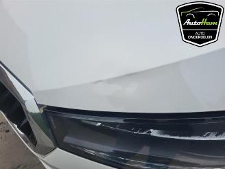 Skoda Fabia Fabia IV (PJ3), Hatchback 5-drs, 2021 1.0 TSI 12V picture 20