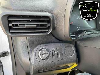 Opel Combo Combo Cargo, Van, 2018 1.5 CDTI 100 picture 14