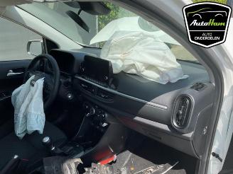 Kia Picanto Picanto (JA), Hatchback, 2017 1.0 DPI 12V picture 13
