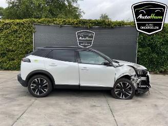Sloopauto Peugeot 2008 2008 (UD/UK/UR/US/UX), MPV, 2019 e-2008 50 kWh 2020/12