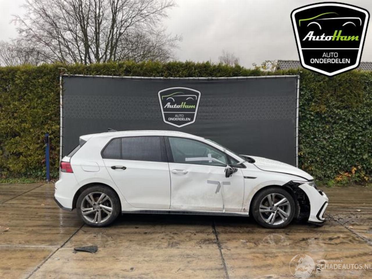 Volkswagen Golf Golf VIII (CD1), Hatchback, 2019 1.5 eTSI 16V