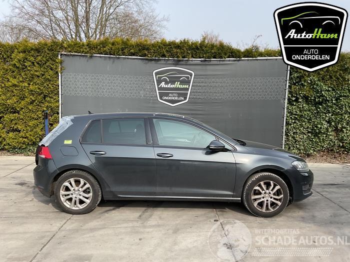 Volkswagen Golf Golf VII (AUA), Hatchback, 2012 / 2021 1.4 TSI BlueMotion Technology 125 16V