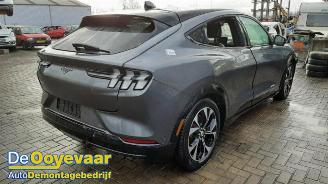 Ford USA Mustang Mustang Mach-E, SUV, 2020 98kWh AWD picture 6