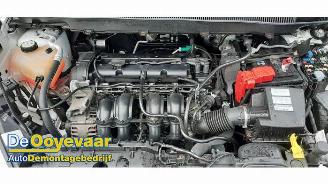 Ford B-Max B-Max (JK8), MPV, 2012 / 2017 1.4 16V picture 3