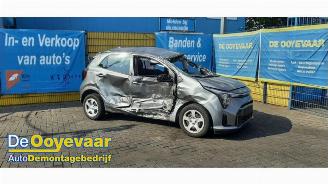 Salvage car Kia Picanto Picanto (JA), Hatchback, 2017 1.0 DPI 12V 2024/8