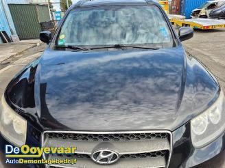 Hyundai Santa Fe Santa Fe II (CM), SUV, 2006 / 2012 2.2 CRDi 16V 4x2 picture 29