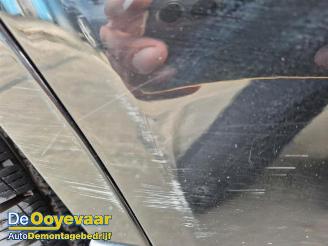 Hyundai Santa Fe Santa Fe II (CM), SUV, 2006 / 2012 2.2 CRDi 16V 4x2 picture 19