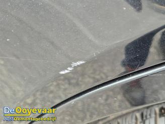 Hyundai Santa Fe Santa Fe II (CM), SUV, 2006 / 2012 2.2 CRDi 16V 4x2 picture 12