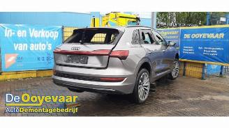 Audi E-tron e-tron (GEN), SUV, 2018 / 2023 55 quattro picture 2