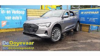 Audi E-tron e-tron (GEN), SUV, 2018 / 2023 55 quattro picture 4