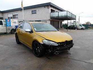 Volkswagen Golf R-TYPE picture 3