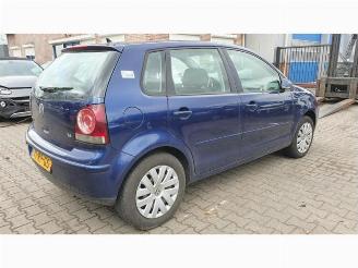 Volkswagen Polo  picture 6