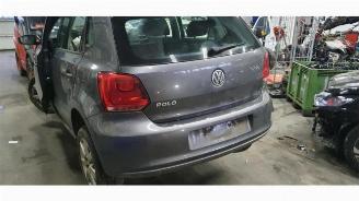 Volkswagen Polo Polo V (6R), Hatchback, 2009 / 2017 1.2 TDI 12V BlueMotion picture 4