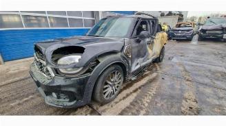 Mini Countryman Countryman (F60), SUV, 2016 1.5 TwinPower Turbo 12V Cooper SE ALL4 picture 2