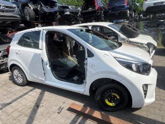 Kia Picanto Picanto (JA), Hatchback, 2017 1.0 DPI 12V picture 2